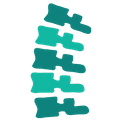 Bandscheibenvorfälle