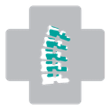 Wirbelkörperfrakturen
